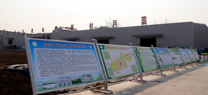 1635466827130988.jpg 03.jpg