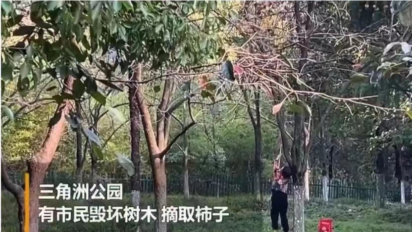 微信图片_20230110164634.jpg