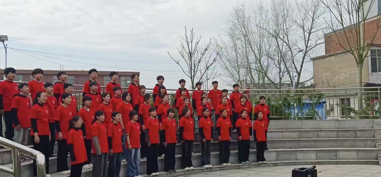 1774833698159647.jpg 1774833698159647.jpg