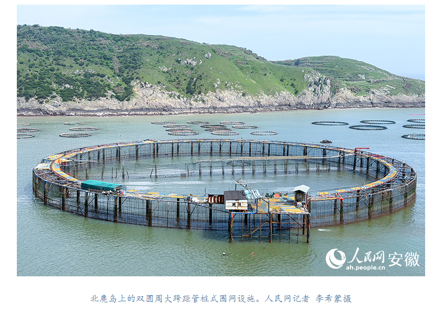 86db0c53-50d4-4da4-a843-e3076f446e37.png